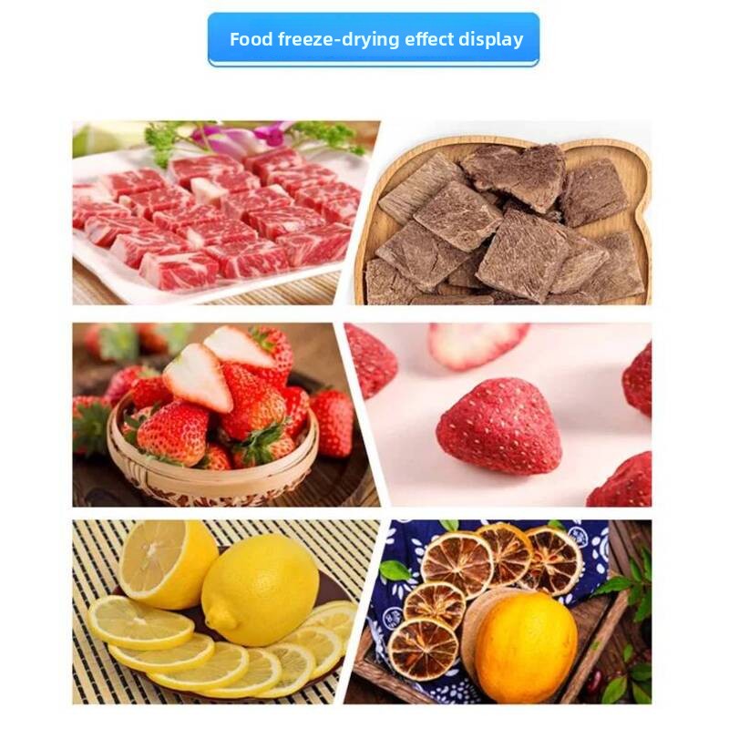 真空食品・果物用業務用および家庭用小型フリーズドライヤー、ス - Snacks Food Usa のレビューと価格